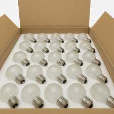 G40 frosted globe for sale  Vero Beach