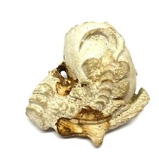 Ornate victorian clay for sale  FELIXSTOWE