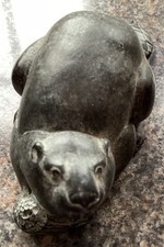 Boma canadian beaver for sale  LONDON