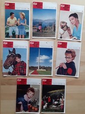 hausfrau gebraucht kaufen  Spiegelau
