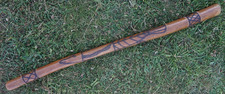 Didgeridoo australia eucalyptu for sale  LONDON