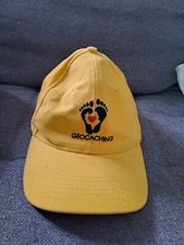 Geocaching cap gebraucht kaufen  Roßwein
