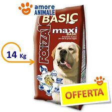 Forza basic maxi usato  Serra de Conti
