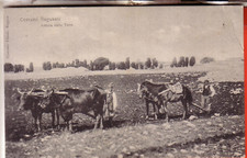 Cartolina ragusa non usato  Montegranaro