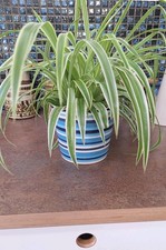 Vintage ikea ceramic for sale  BELFAST