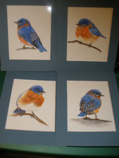 Lot watercolor handpainted for sale  Elizabethtown