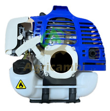 Motore decespugliatore tempi usato  Villaricca