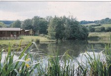 Honitin devon. otterfalls for sale  IPSWICH