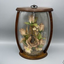 Cúpula de vidro vintage com flores têxteis e uma borboleta comprar usado  Enviando para Brazil