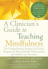 Clinician guide teaching for sale  Denver
