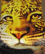 New leopard big for sale  Colorado Springs