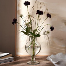 White company rye for sale  TELFORD