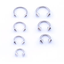 Surgical steel horseshoe for sale  ANNAN