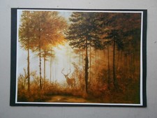 Fine art print for sale  LANCASTER