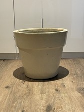 Pflanzen blumenkübel utdoor gebraucht kaufen  Hannover