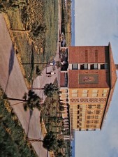 Cavallino venezia piccole usato  Torino