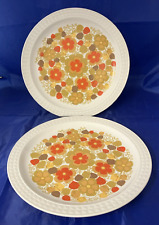 Pontesa ironstone dinner for sale  CHEPSTOW