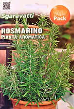Semi rosmarino rosmarinus usato  Trappeto
