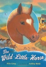 Wild little horse for sale  Montgomery