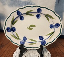 10.5 blueberry serving for sale  Mount Vernon