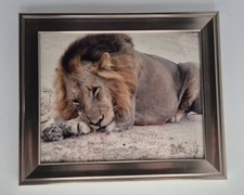 Lion wall art for sale  RYE