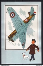 Avion curtis hawk d'occasion  L'Arbresle