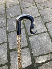Rams horn shepherds for sale  CARMARTHEN