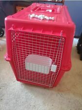 Airline approved pet for sale  SWANSEA