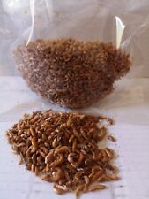Gammarus lyophilise aliment d'occasion  Ingwiller