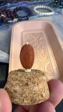 Pine nut carved for sale  El Monte