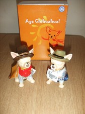 Aye chihuahua cowgirl for sale  MANCHESTER