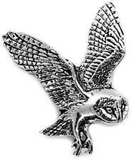 Barn owl bird for sale  BLACKBURN