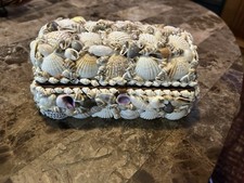 White natural seashell for sale  Mouthcard