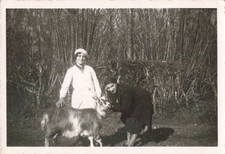 Ancienne photo 1936 d'occasion  Nogent-sur-Marne