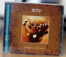 Xtc skylarking for sale  BRIGHTON