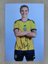 Julia zigiotti lme gebraucht kaufen  Berlin