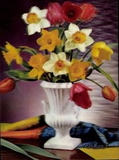 Narzissen tulpen blumenvase gebraucht kaufen  Berlin
