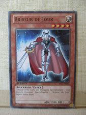 Carte briseur jour d'occasion  Montlouis-sur-Loire