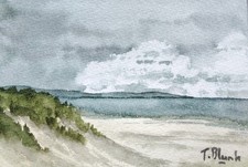 Riginal aquarell strand gebraucht kaufen  Düsseldorf