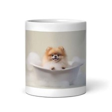 Pomeranian pup bath for sale  Milwaukee