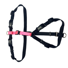 Balance harness blue for sale  Robersonville