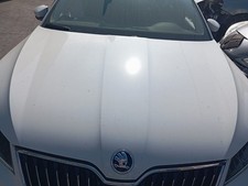Cofano anteriore skoda usato  Vigasio