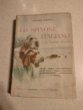 Adriano ceresoli spinone usato  Torino