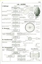 Document ancien bière d'occasion  France