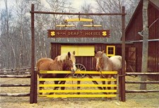 1970 new jersey for sale  Fenton