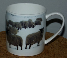 Waitrose mug featuring for sale  MARKET RASEN