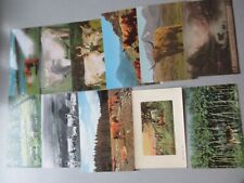 Postcards highland cattle for sale  SOUTHAMPTON