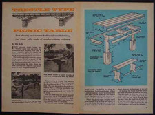 Trestle picnic table for sale  Diamond Point