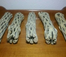 Large inch cholla for sale Large inch cholla for sale  Edgewood