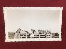 Vintage photo draft for sale  Anamosa